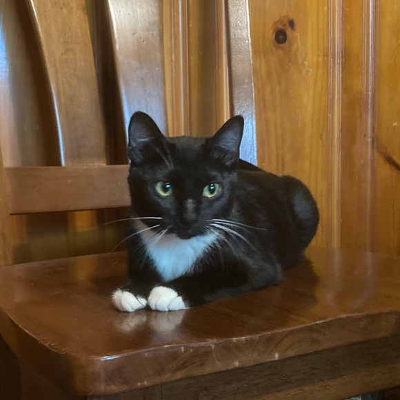 Meet your Posher, Rob - Picture 16 of 16